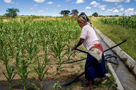 NIGER : la Banque mondiale appelle à accroître les efforts dans l’irrigation | AFRIQUES | Scoop.it