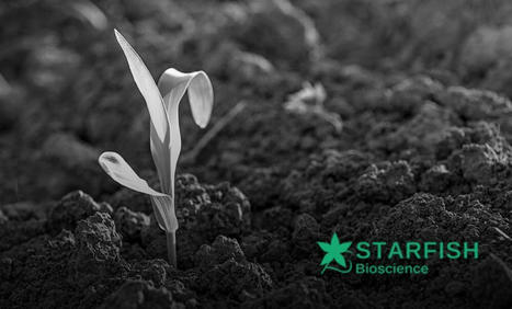 Agtech : Starfish Bioscience l&egrave;ve 900 000 euros | Infonet | Start-ups | Success stories | Scoop.it