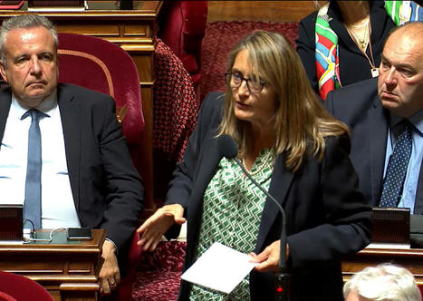 Logement social : le Sénat renforce le pouvoir des maires dans les commissions d'attribution | Veille juridique du CDG13 | Scoop.it