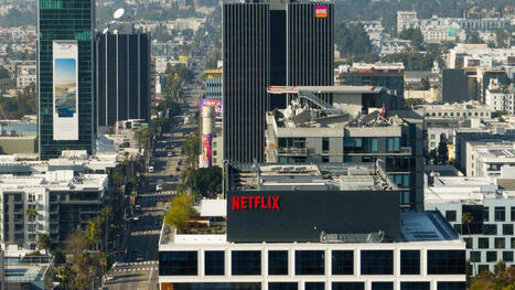 Ex-Netflix employee asks Ninth Circuit to avoid arbitration in sexual harassment case - Courthouse News Service | Operation Oya | Scoop.it