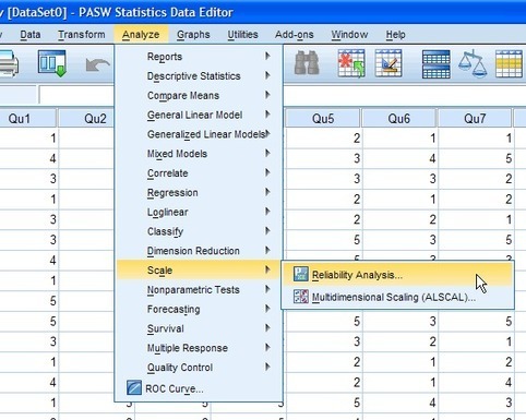 Cronbach's Alpha in SPSS - procedure, output an...