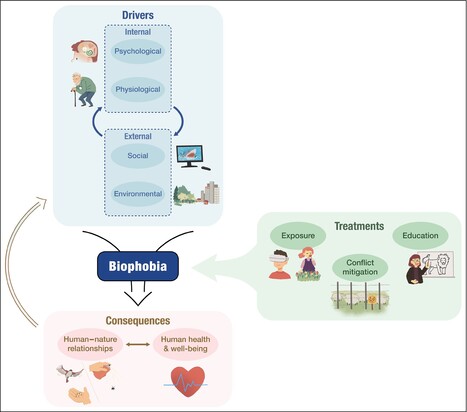 La biophobie, ou peur de la nature, un sentiment en hausse dans la population | EntomoNews | Scoop.it