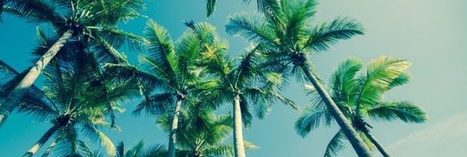 La FAO lance un plan d'attaque contre le charançon rouge du palmier | CIHEAM Press Review | Scoop.it