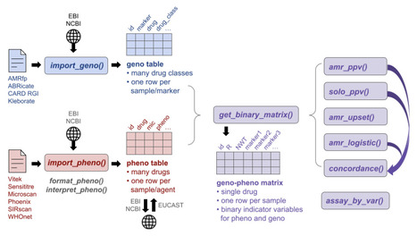 AMRgen: an R package for antimicrobial resistance genotype-phenotype analysis | brvbi | RMH | Scoop.it