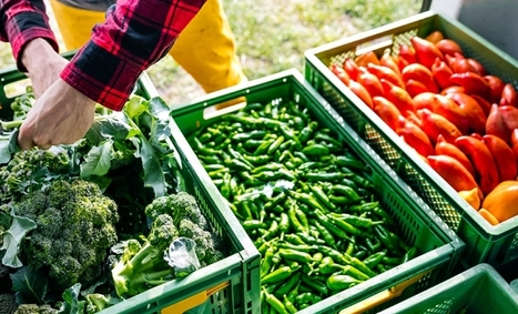 Helping to Feed New Yorkers - Waste Management & Recycling News Today - EIN Presswire | Industry 411 - Waste Management | Scoop.it