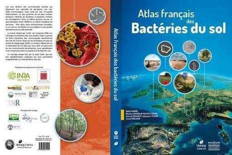 Symposium sur la microbiologie des sols français | Biodiversité | Scoop.it