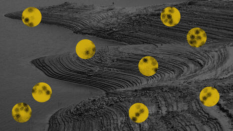 ENVIRONMENT: In a drier world, some infectious diseases are unexpectedly thriving | DURABILITES | Scoop.it