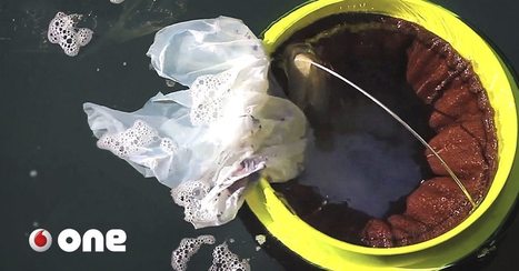 Papeleras marinas para limpiar el plástico de los océanos | tecno4 | Scoop.it