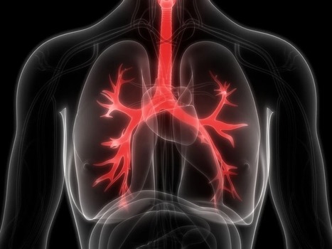 News: In Vivo Gene Editing of Lung Stem Cells Achieves Long-Term Correction for Cystic Fibrosis | Vectorology - GEG Tech top picks | Scoop.it