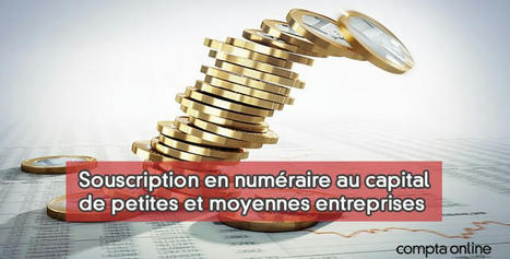 Réduction d'impôt Madelin (IR-PME) en 2024 | Fiscalité personnelle et conseil patrimonial | Scoop.it