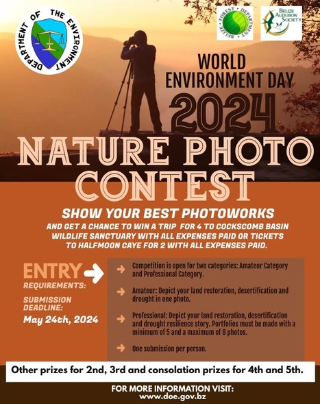 DoE Nature Photo Competition | Cayo Scoop!  The Ecology of Cayo Culture | Scoop.it