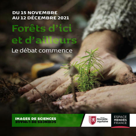 Inscription à l’édition Images de sciences, sciences de l’image 2021 – Forêts d’ici et d’ailleurs, le débat commence | Espace Mendès France : culture & médiation scientifiques | Espace Mendes France | Scoop.it