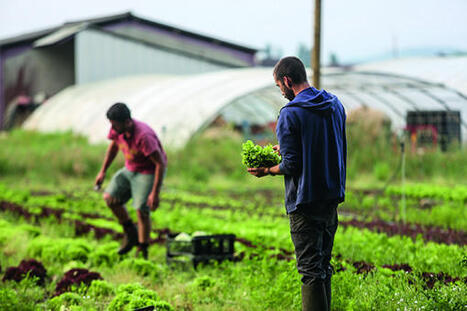 A Pau, consommer bon et local, c&rsquo;est possible gr&acirc;ce&nbsp;aux mara&icirc;chers de la ceinture verte | D&eacute;veloppement local | Scoop.it