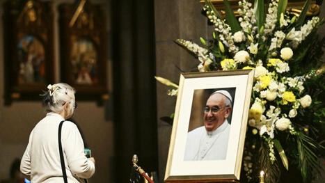 Fran&ccedil;ois &eacute;tait-il un &laquo;pape vert&raquo;? - Questions d'environnement | Biodiversit&eacute;, &Eacute;cologie et Environnement | Scoop.it