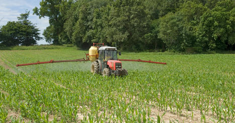 Pesticides : le Gouvernement remet en cause le retrait du S-métolachlore, probable cancérigène | rushes infos | Scoop.it