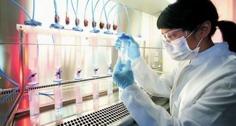 Ces 3 domaines qui nous rapprochent | Revue de presse | Scoop.it