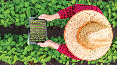 Plant Protein Powers Up | IPCI : Ingénierie de Produits à l'interface Cuisine-Industrie | Scoop.it