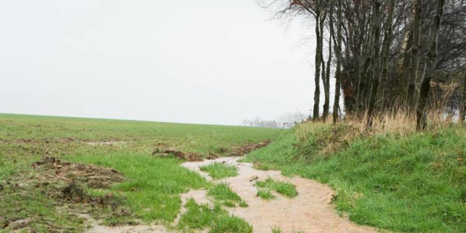 Prairies sous tension dans la Pointe de Caux | Une semaine d'actu - Newsletter de veille de l'AURH | Scoop.it
