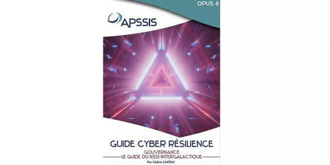 Guide Cyber-résilience - Opus 6 - Gouvernance - Le Guide du RSSI Intergalactique | Veille #Cybersécurité #DCIT Conseil | Scoop.it