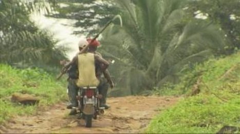 Cameroun : la course à l’huile de palme | Questions de développement ... | Scoop.it