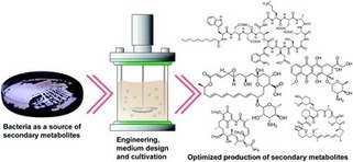 Metabolic engineering with systems biology tools to optimize production of prokaryotic secondary metabolites | Natural Products Chemistry Breaking News | Scoop.it