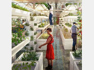 Challenges to food security in urban environments | Stage 5 Sustainable Biomes | Scoop.it