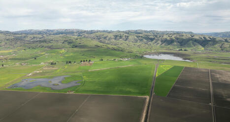 Bay Area farms to be restored to wetland landscape | Coastal Restoration | Scoop.it