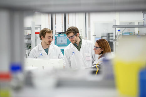 Lesaffre and Zilor enter a joint venture | ITERG - Veille sectorielle | Scoop.it