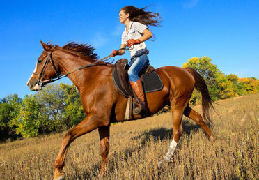 Sport et &eacute;quitation : les bienfaits | Cheval et Nature | Scoop.it