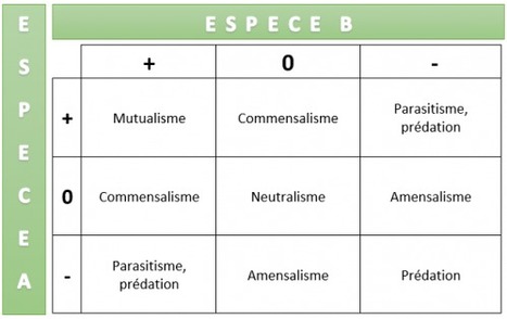 Le parasitisme, qu'est-ce que c'est ? | EntomoScience | Scoop.it