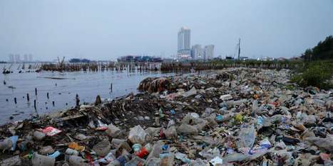 &laquo;&nbsp;Sur les deux milliards de Terriens en plus en&nbsp;2050, la moiti&eacute; vivra dans un bidonville&nbsp;&raquo; | ICSU becoming ISC ... Biocluster | Scoop.it