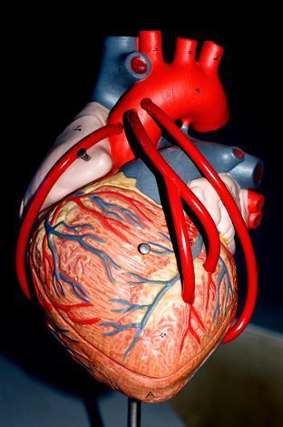 2012-Sarkozy r&eacute;plique au PS sur le bonus de L&eacute;vy, accuse Badinter | Chronique des Droits de l'Homme | Scoop.it