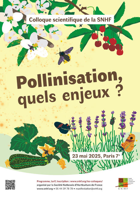 [Colloque scientifique] Pollinisation, quels enjeux ?, le 23 mai 2025 à Paris | Variétés entomologiques | Scoop.it