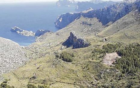 El Govern constata que el acceso a Ternelles no afecta a los buitres - Diario de Mallorca | Noticias sobre Caminos Públicos | Scoop.it