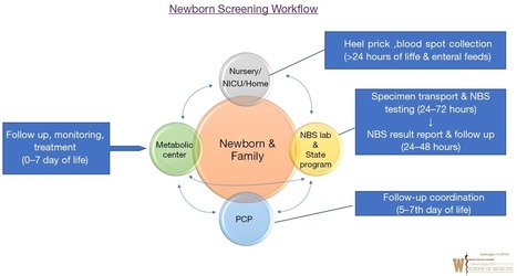 Newborn screening and changing face of inborn errors of metabolism in the United States - Kanungo - Annals of Translational Medicine | dépistage néonatal | Scoop.it