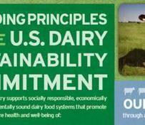 Dairy Supply Chain Launches Sustainability Reporting Guide | Sustainable Brands | Supply chain News and trends | Scoop.it