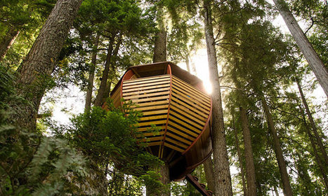Endormez-vous près des étoiles grâce à ces incroyables maisons perchées dans les arbres | Landart, art environnemental | Scoop.it