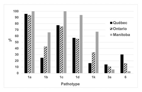 Original Paper in Plant Dis &bull; B&eacute;langer Lab 2021 &bull;&nbsp;Molecular assessment of pathotype diversity of Phytophthora sojae in Canada highlights declining sources of resistance in soybean | Originals | Scoop.it