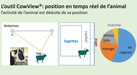 L&rsquo;&eacute;levage de pr&eacute;cision au service du bien-&ecirc;tre animal | Elevage et num&eacute;rique | Scoop.it
