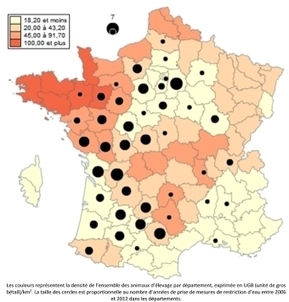 Production de viande et ressource en eau | DURABILITES | Scoop.it