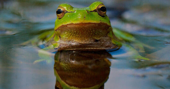 eqbjQxXzDxqZV8UfY0g4jzl72eJkfbmt4t8yenIm