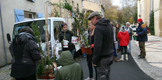 Dans les villes, comment les citoyens peuvent participer à la lutte contre la surchauffe | Environnement - Développement durable - Climat | Scoop.it