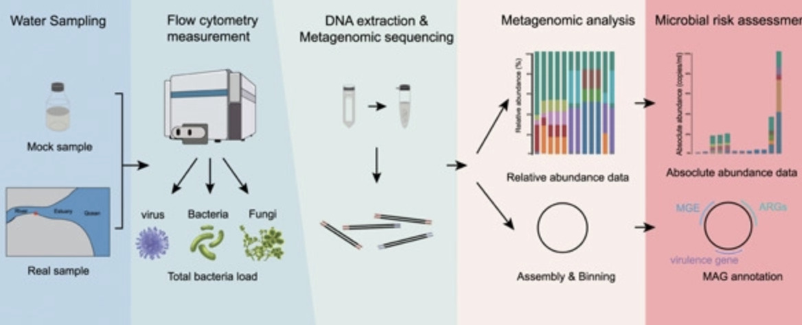 Metagenomic sequencing combined with flow cytom...