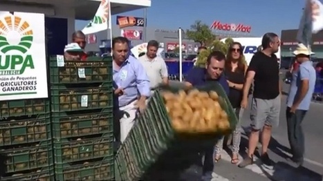 Sanctions russes : en Espagne, les fermiers protestent devant les magasins Carrefour | ACTUALITÉ | Scoop.it