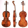 Violins