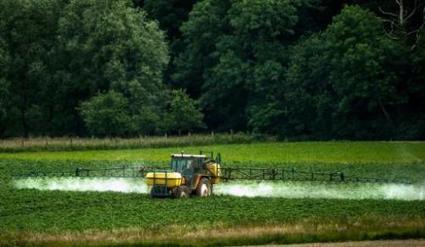 Glyphosate prolongé cinq ans : «scandalisées», des ONG appellent la France à agir | Les Colocs du jardin | Scoop.it