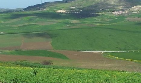 La FAO contribuera à la mise à jour de la carte agricole en Tunisie - WMC | Espace Méditerranéen : géopolitique, coopération... | Scoop.it