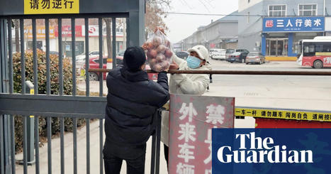 Shanghai’s ‘grim’ Covid outbreak threatens more global supply chain disruption | Chinese economy | The Guardian | International Economics: IB Economics | Scoop.it