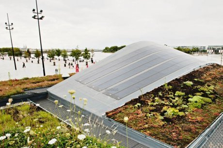 Le jardin est sur le toit | SudOuest.fr | Build Green, pour un habitat écologique | Scoop.it