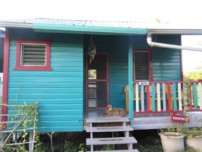 Wild Belize - Head West to Lower Dover Lodge | Cayo Scoop!  The Ecology of Cayo Culture | Scoop.it